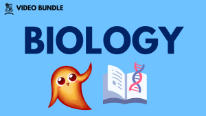 UKVS Video Bundle – Year 7 – Biology